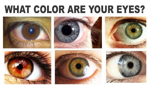 different colors of eyes